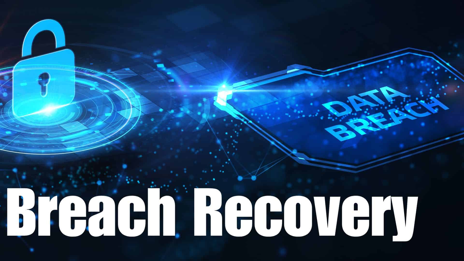 Washington DC Cyber Breach Recovery Services